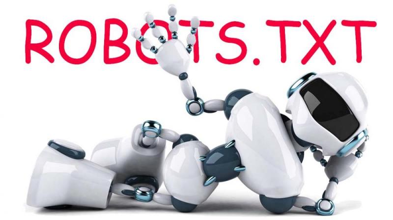 Что такое robots.txt и зачем он нужен в Перми